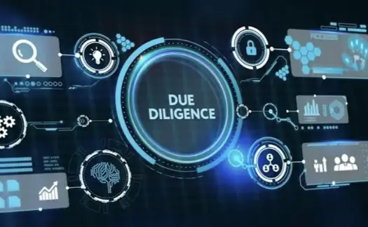 What Is Due Diligence in Cryptocurrency?